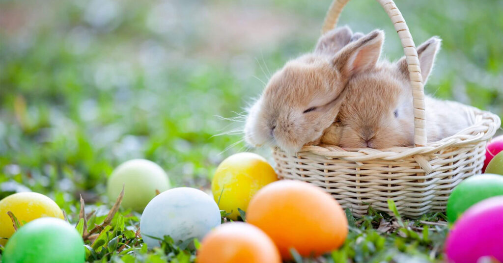 11-Easter-Games-for-Kids-and-Adults-That-Aren't-Your-Average-Egg-Hunt